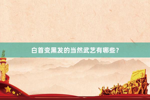 白首变黑发的当然武艺有哪些?