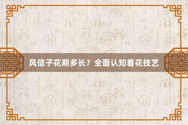 风信子花期多长?全面认知着花技艺